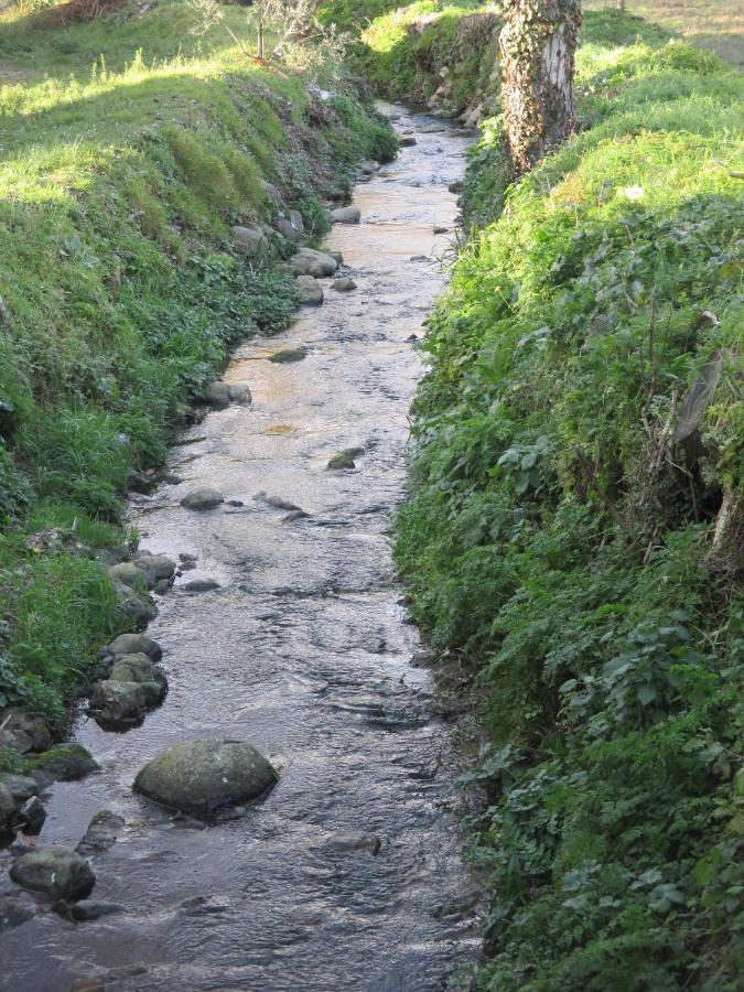 Podere Pian Dei Gelsi Вольтерра Экстерьер фото