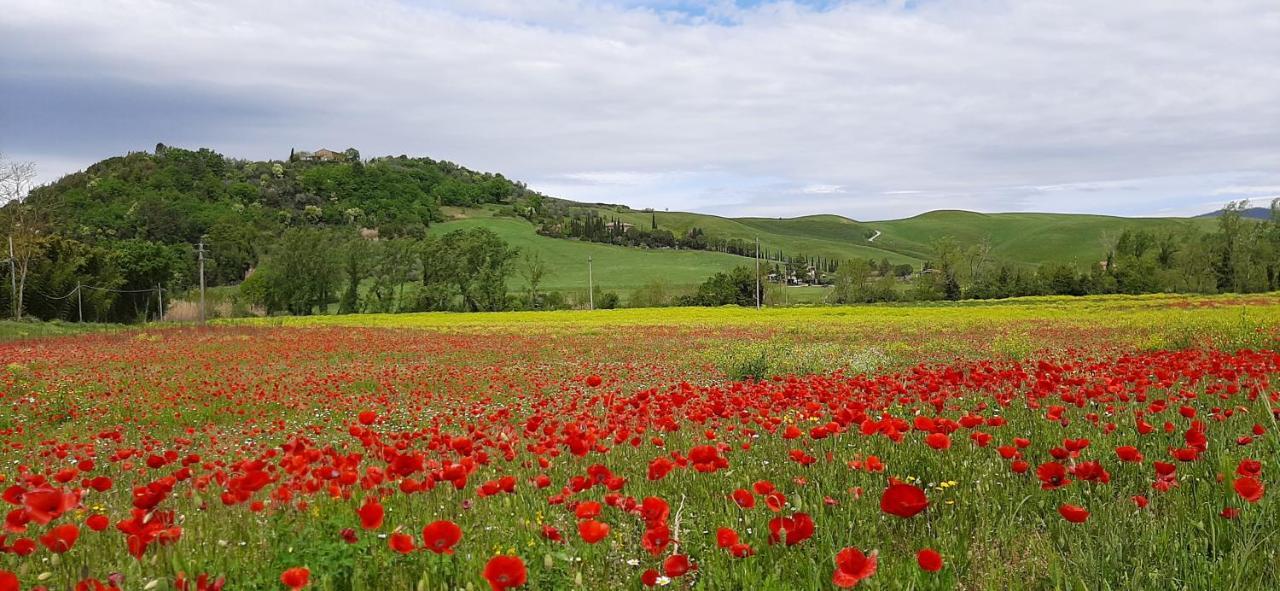Podere Pian Dei Gelsi Вольтерра Экстерьер фото
