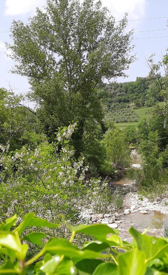 Podere Pian Dei Gelsi Вольтерра Экстерьер фото